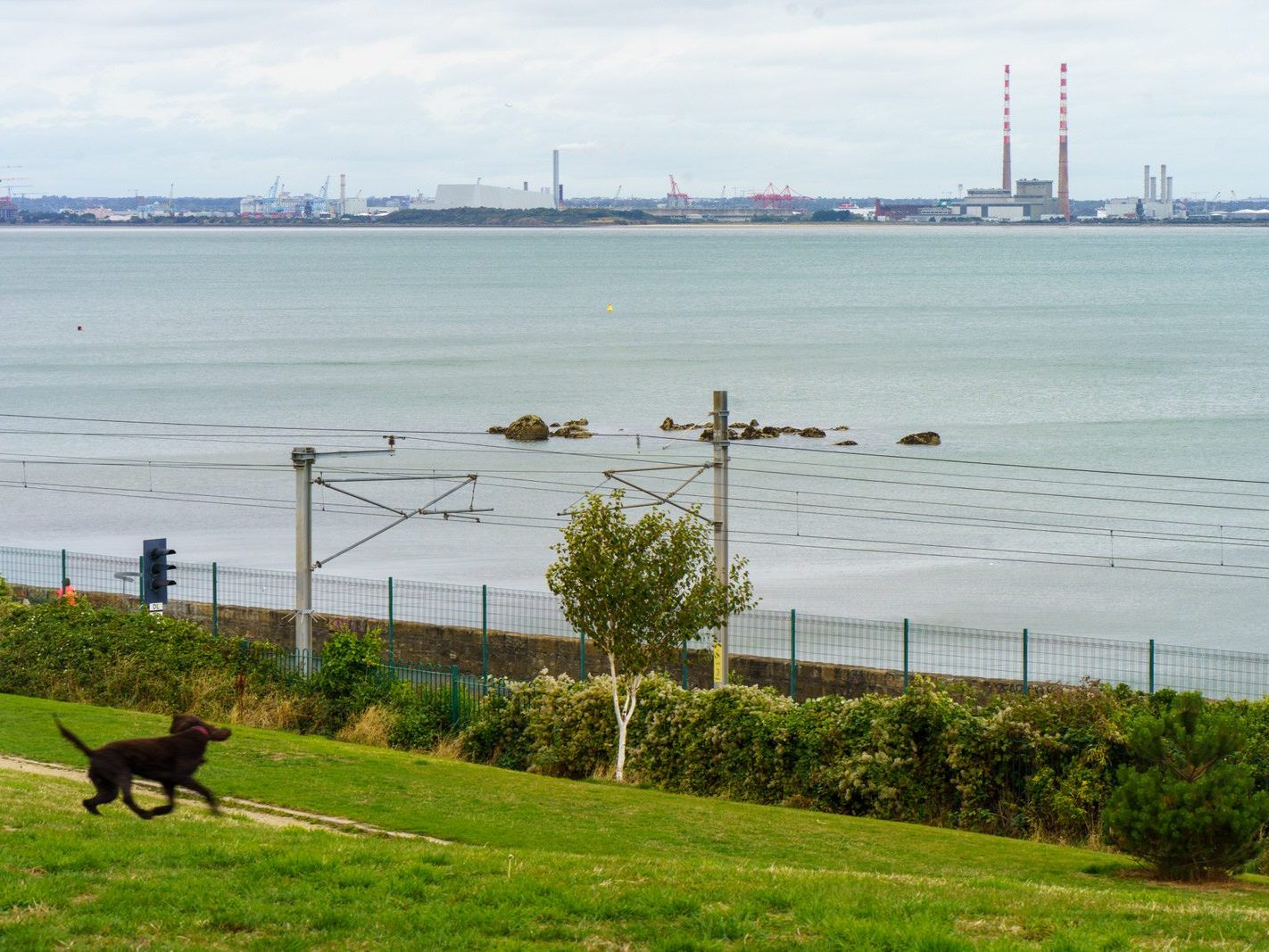 SEAPOINT PUBLIC PARK IN DUN LAOGHAIRE [BETWEEN SEAPOINT STATION AND SALTHILL MONKSTOWN STATION]-240548-1