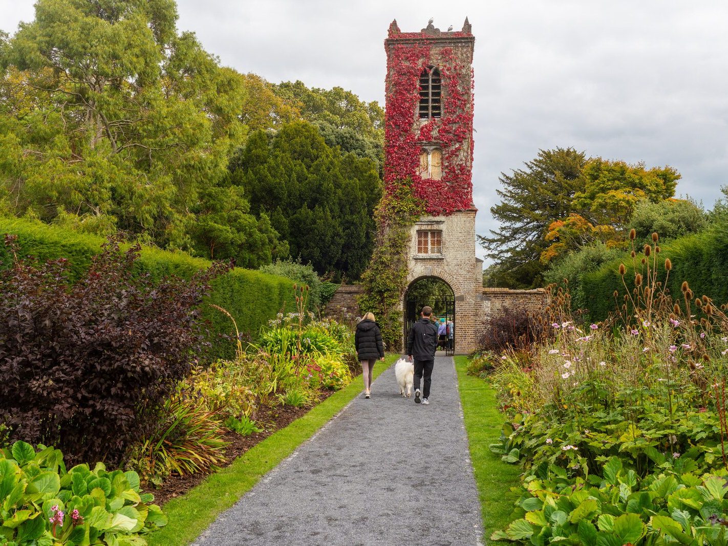 THE WALLED GARDEN [ST ANNE'S PARK 28 SEPTEMBER 2024]-24186-1