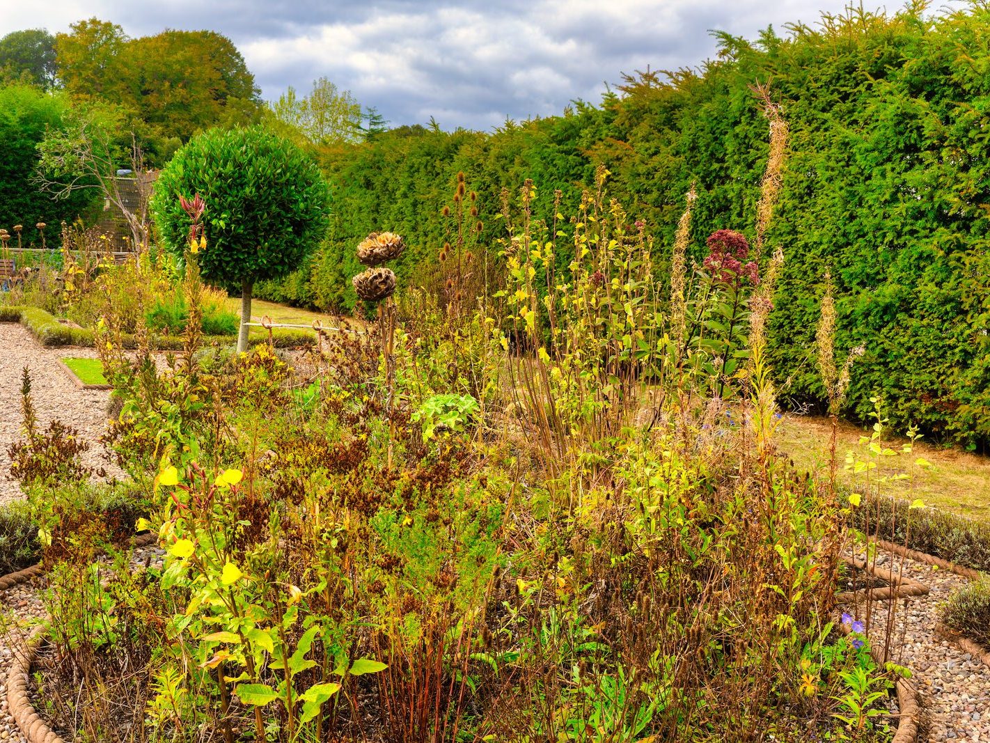 THE WALLED GARDEN [ST ANNE'S PARK 28 SEPTEMBER 2024]-24189-1