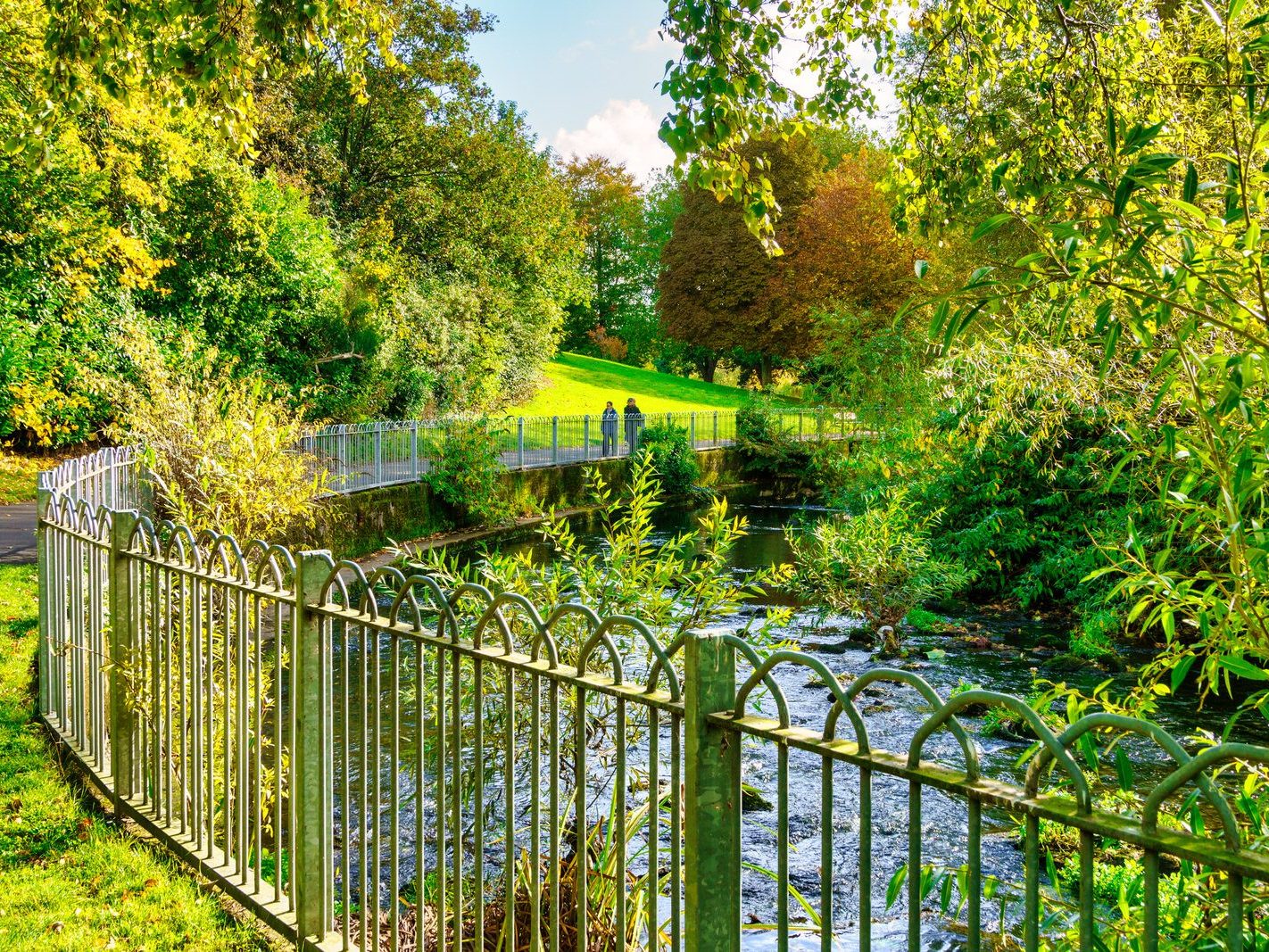 A SECTION OF THE TOLKA RIVER [GRIFFITH LINEAR PARK]-242283-1