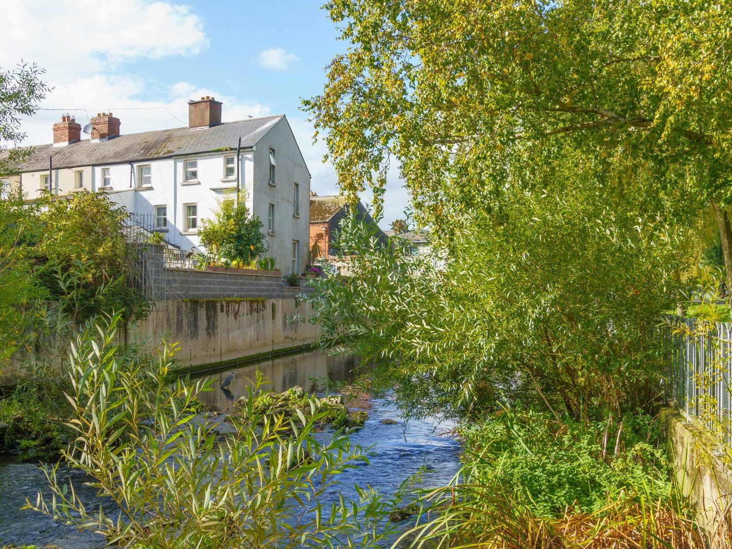 A SECTION OF THE TOLKA RIVER [GRIFFITH LINEAR PARK]-242284-1