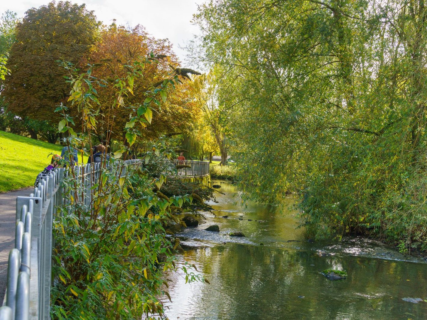 A SECTION OF THE TOLKA RIVER [GRIFFITH LINEAR PARK]-242285-1