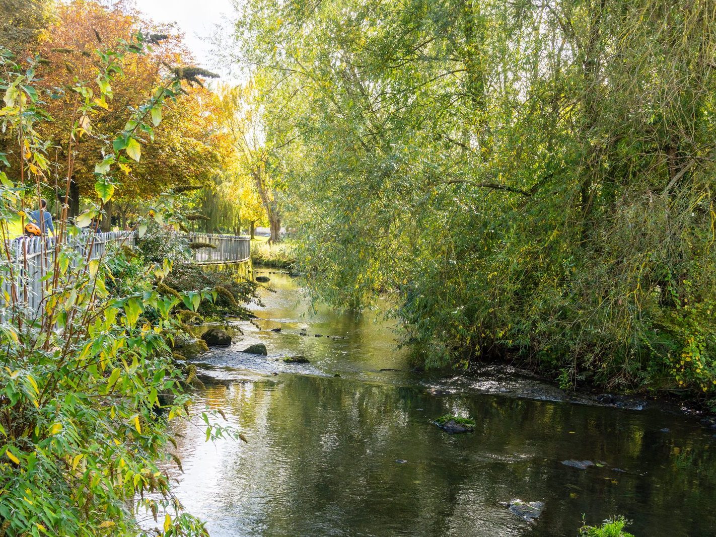 A SECTION OF THE TOLKA RIVER [GRIFFITH LINEAR PARK]-242286-1