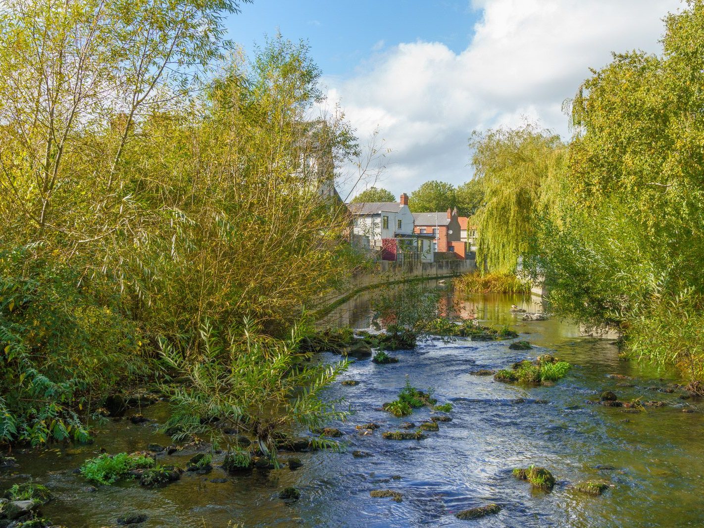 A SECTION OF THE TOLKA RIVER [GRIFFITH LINEAR PARK]-242287-1