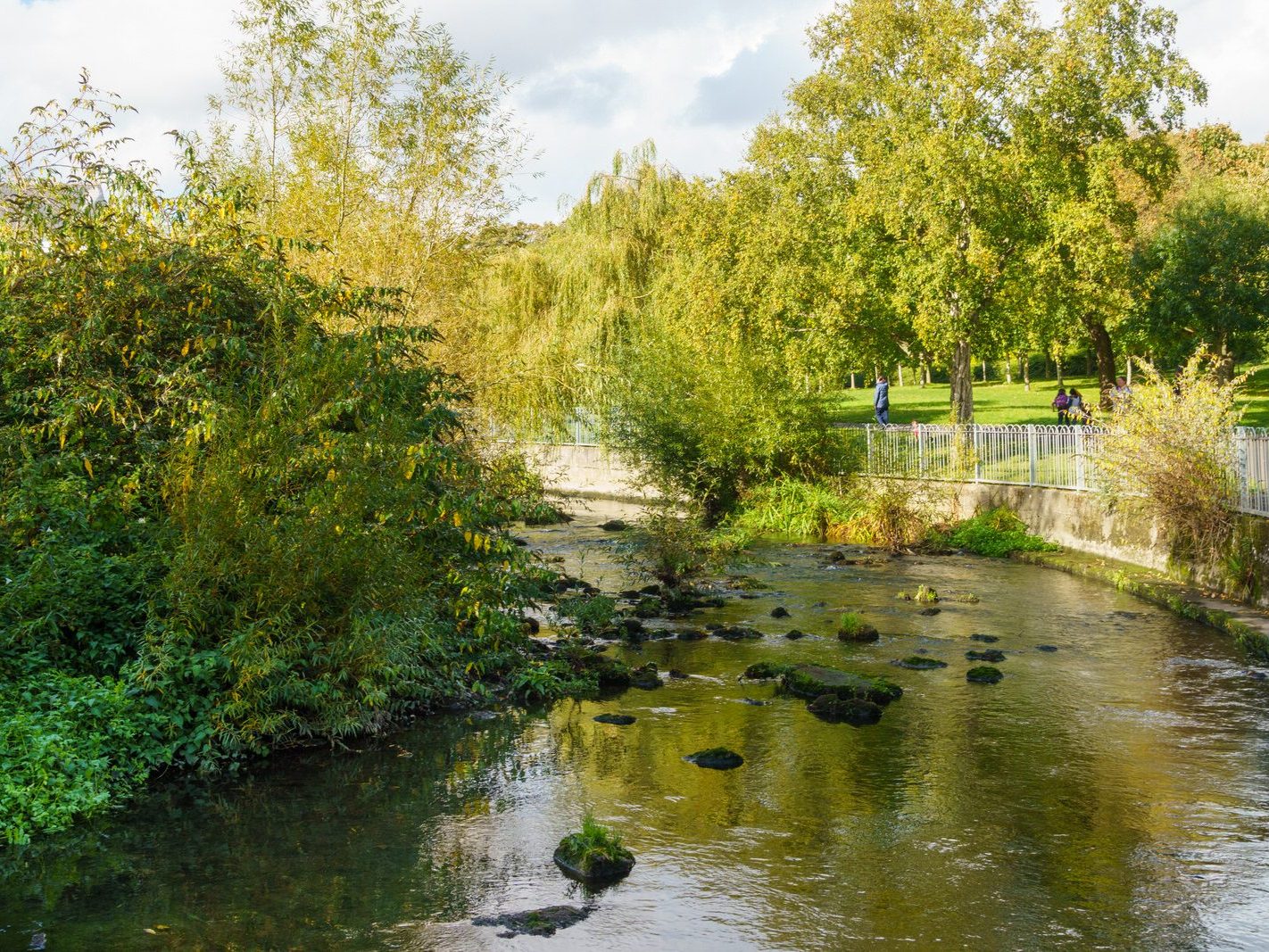 A SECTION OF THE TOLKA RIVER [GRIFFITH LINEAR PARK]-242290-1