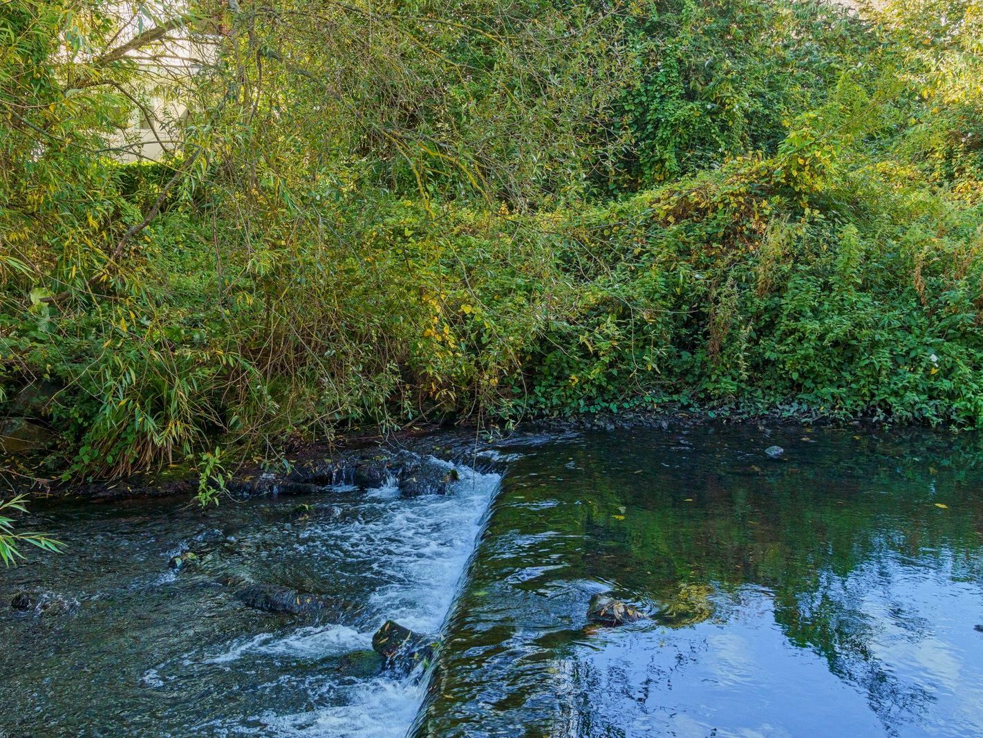 A SECTION OF THE TOLKA RIVER [GRIFFITH LINEAR PARK]-242292-1