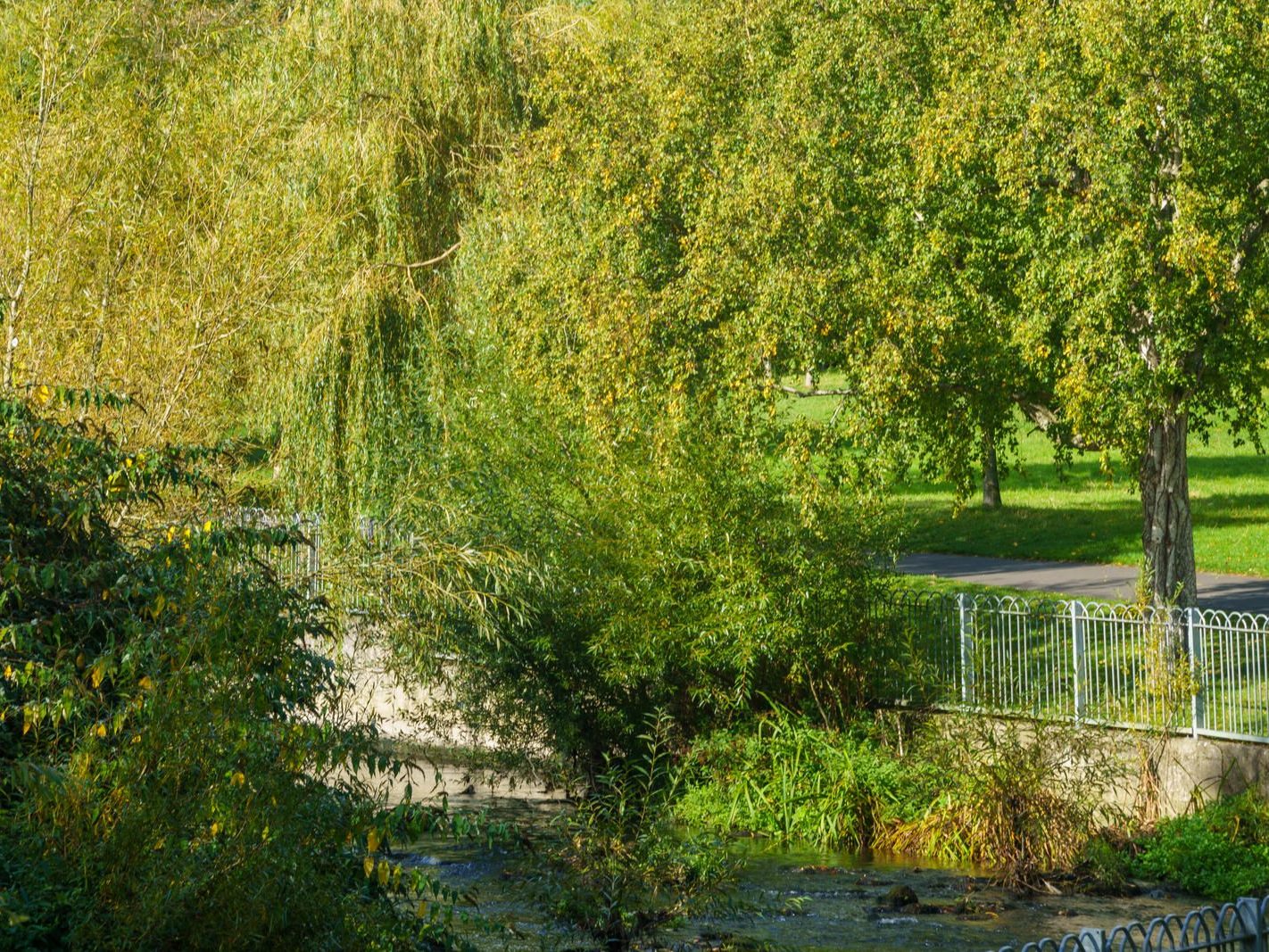 A SECTION OF THE TOLKA RIVER [GRIFFITH LINEAR PARK]-242293-1