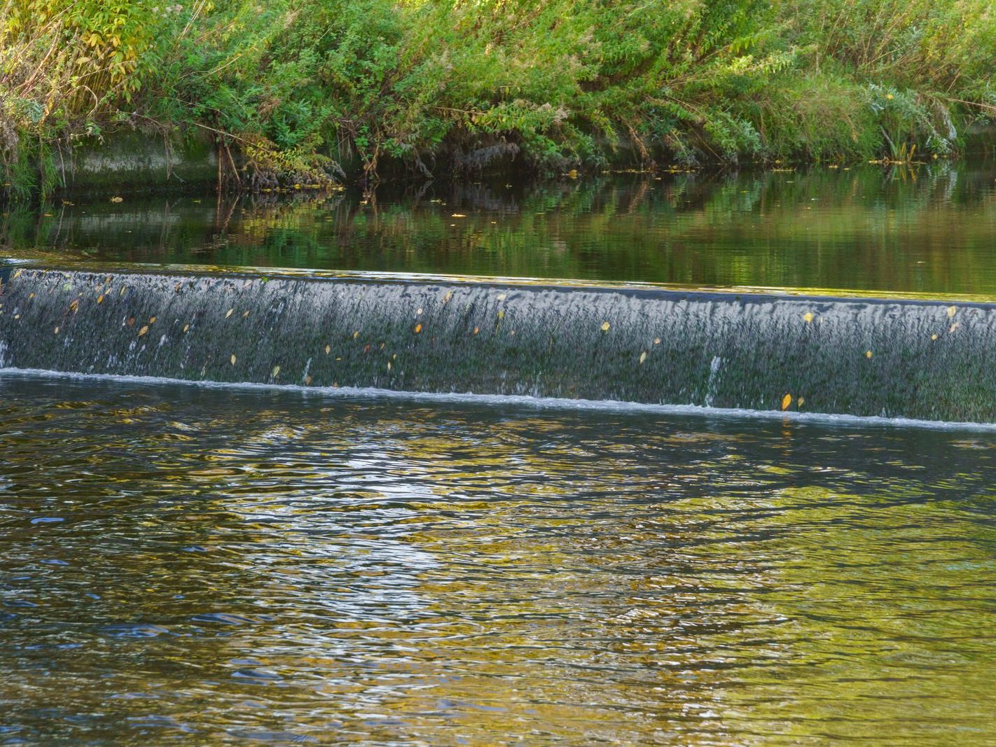 A SECTION OF THE TOLKA RIVER [GRIFFITH LINEAR PARK]-242299-1