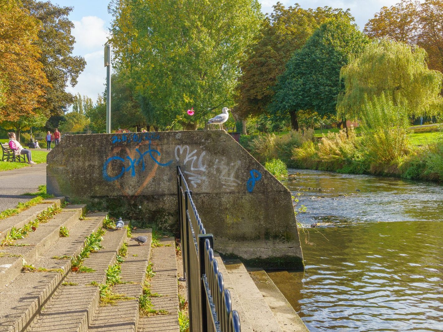 A SECTION OF THE TOLKA RIVER [GRIFFITH LINEAR PARK]-242301-1