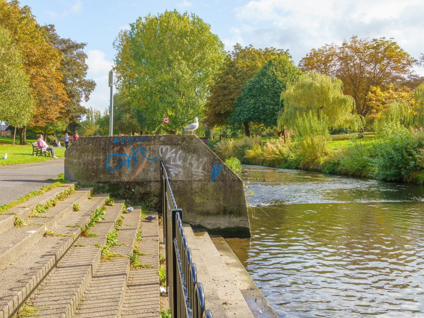 A SECTION OF THE TOLKA RIVER [GRIFFITH LINEAR PARK]-242303-1