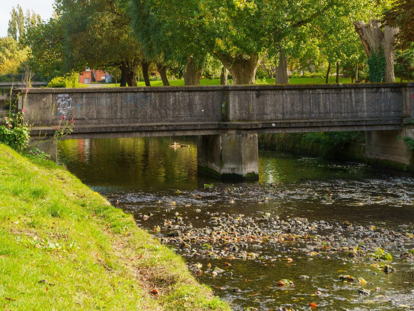 A SECTION OF THE TOLKA RIVER [GRIFFITH LINEAR PARK]-242305-1