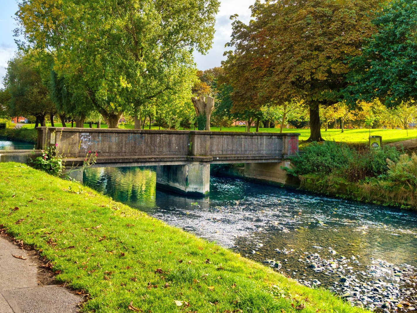 A SECTION OF THE TOLKA RIVER [GRIFFITH LINEAR PARK]-242307-1