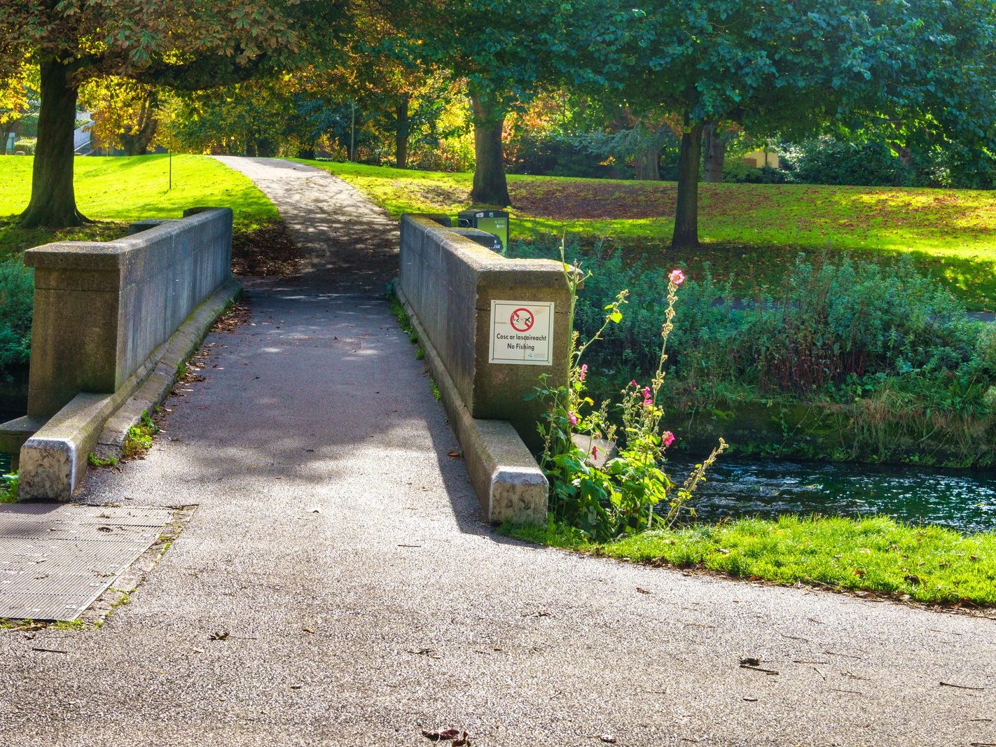 A SECTION OF THE TOLKA RIVER [GRIFFITH LINEAR PARK]-242308-1