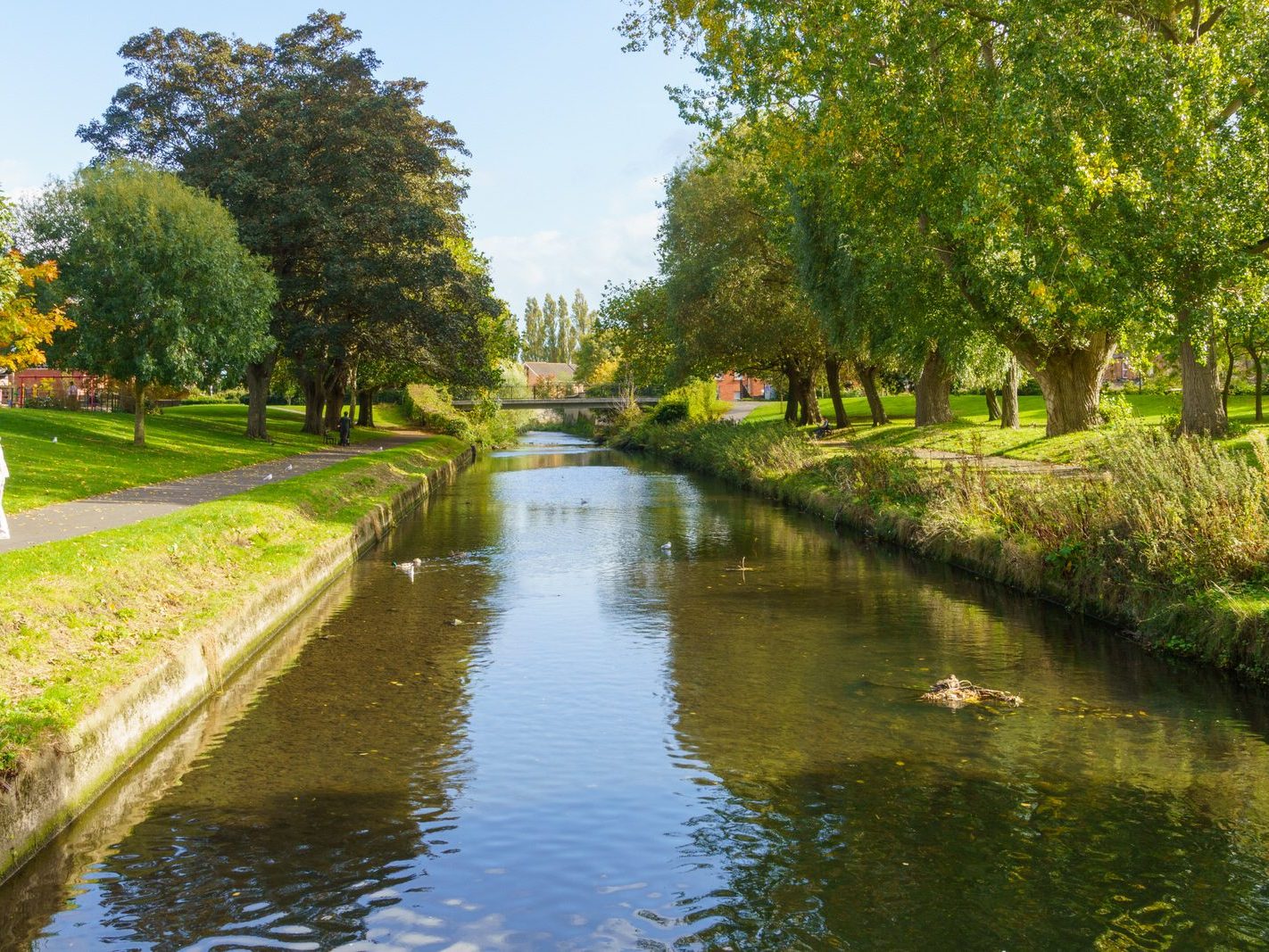 A SECTION OF THE TOLKA RIVER [GRIFFITH LINEAR PARK]-242310-1