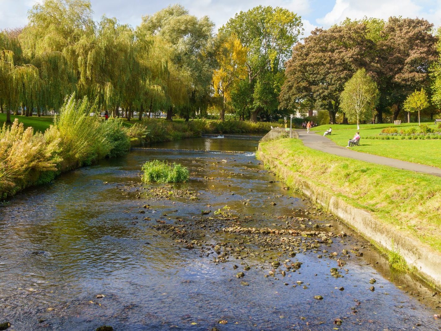 A SECTION OF THE TOLKA RIVER [GRIFFITH LINEAR PARK]-242311-1