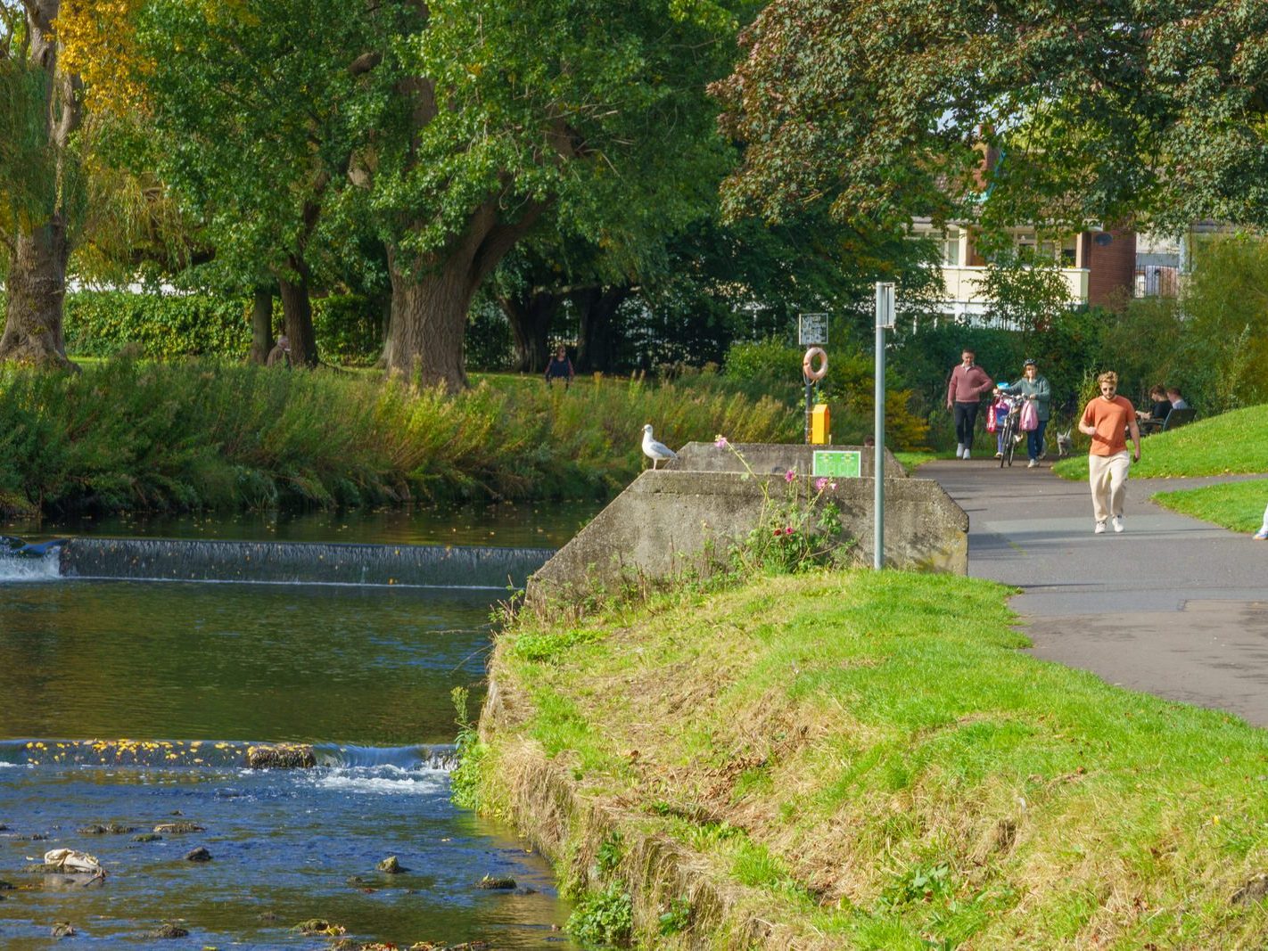 A SECTION OF THE TOLKA RIVER [GRIFFITH LINEAR PARK]-242313-1