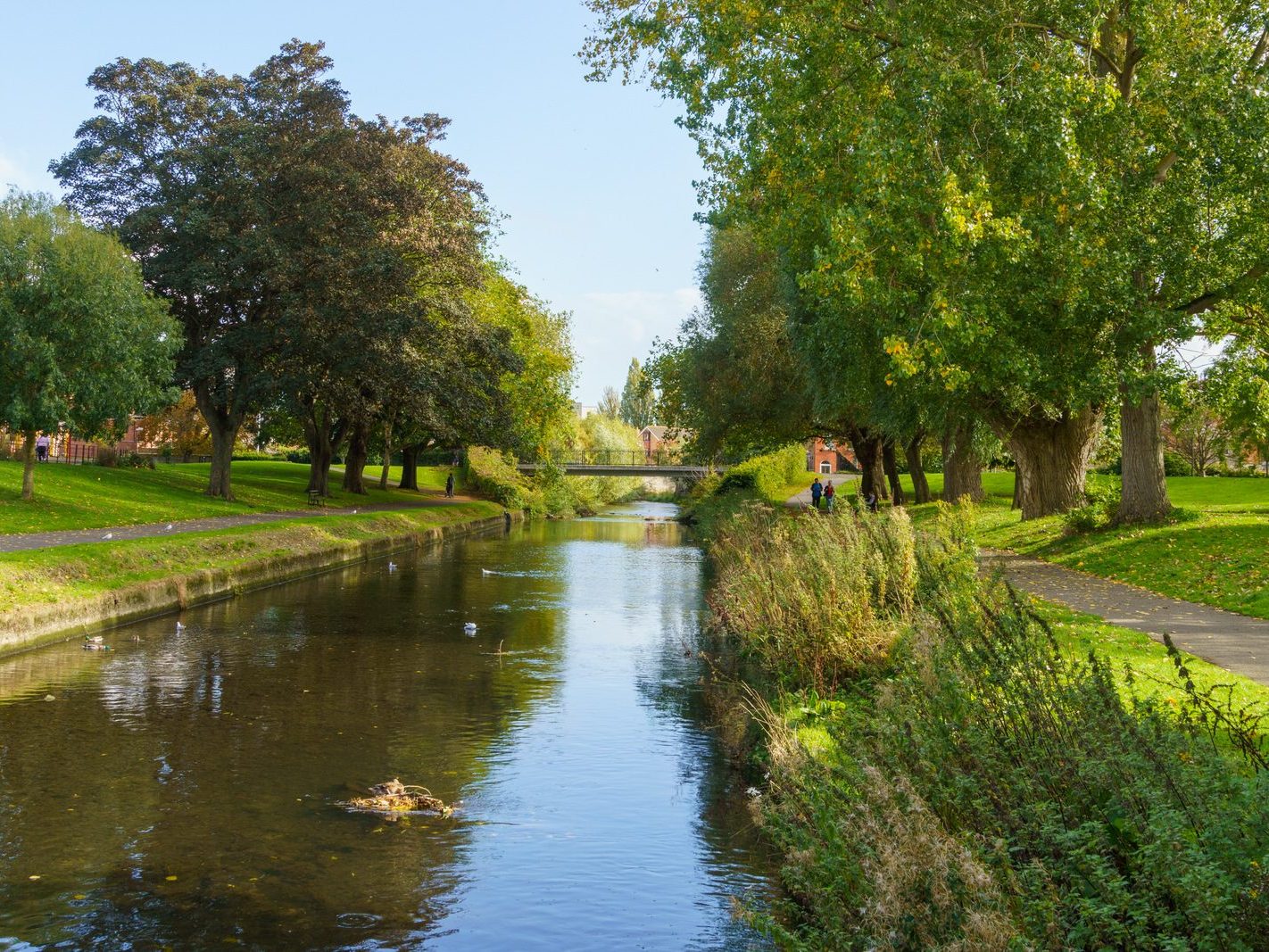 A SECTION OF THE TOLKA RIVER [GRIFFITH LINEAR PARK]-242315-1