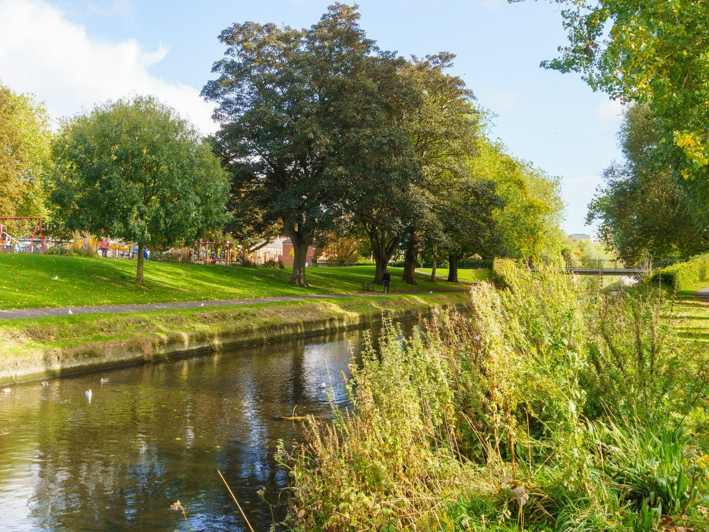 A SECTION OF THE TOLKA RIVER [GRIFFITH LINEAR PARK]-242317-1