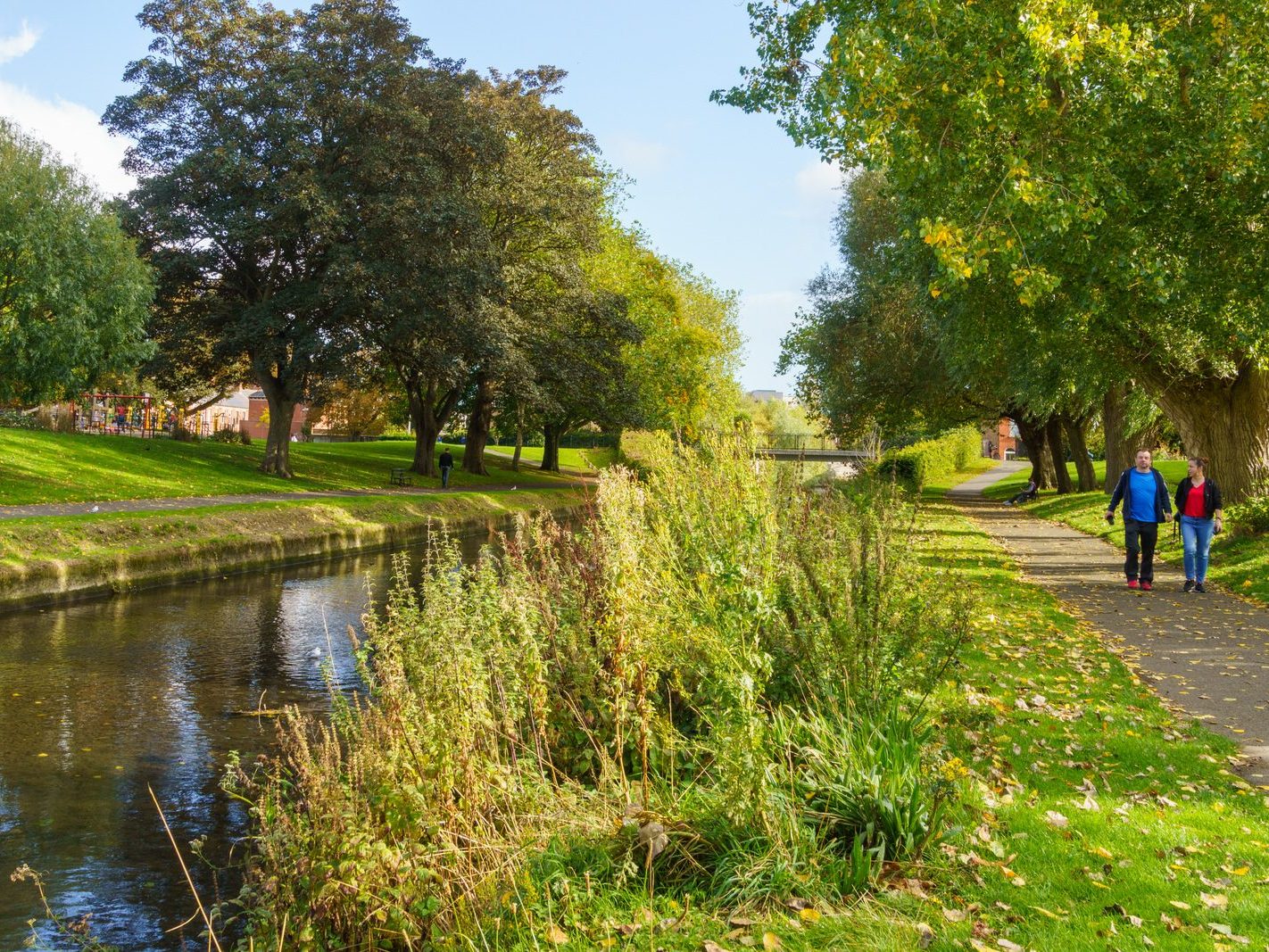 A SECTION OF THE TOLKA RIVER [GRIFFITH LINEAR PARK]-242318-1