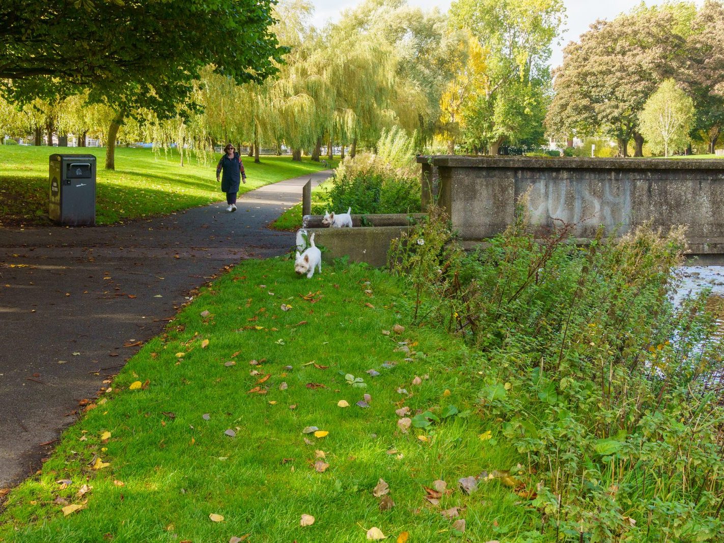 A SECTION OF THE TOLKA RIVER [GRIFFITH LINEAR PARK]-242319-1