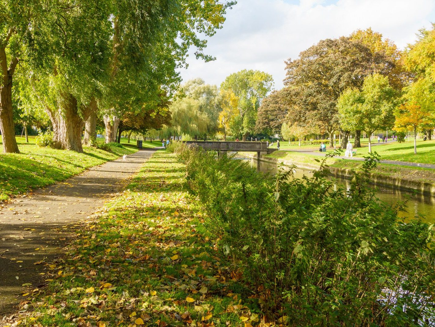 A SECTION OF THE TOLKA RIVER [GRIFFITH LINEAR PARK]-242324-1