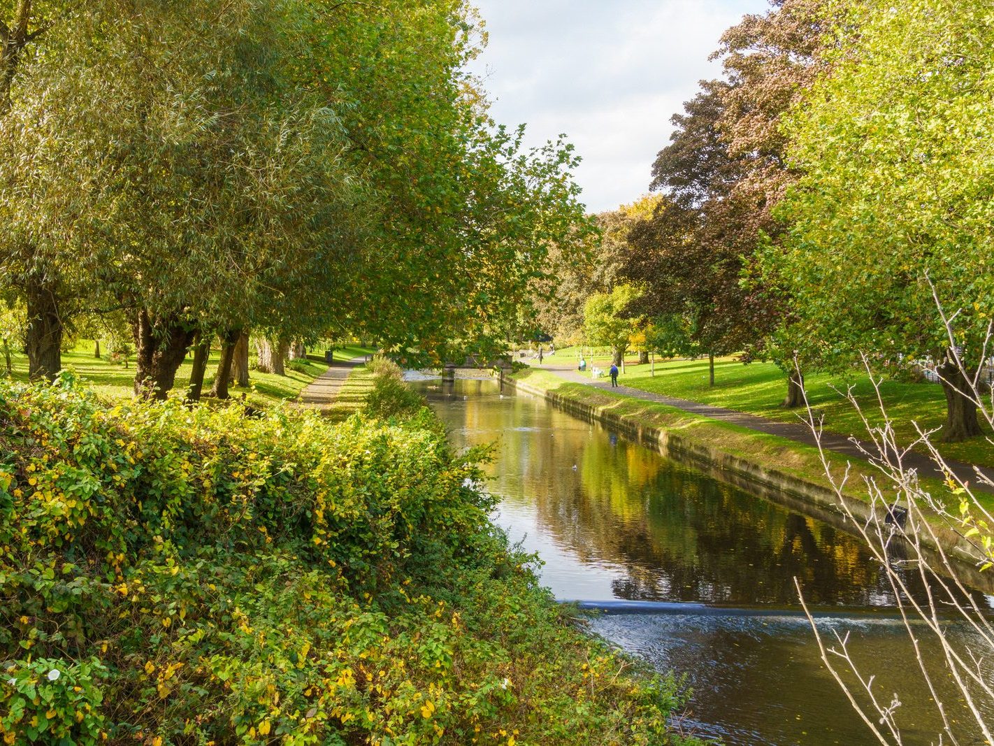 A SECTION OF THE TOLKA RIVER [GRIFFITH LINEAR PARK]-242325-1