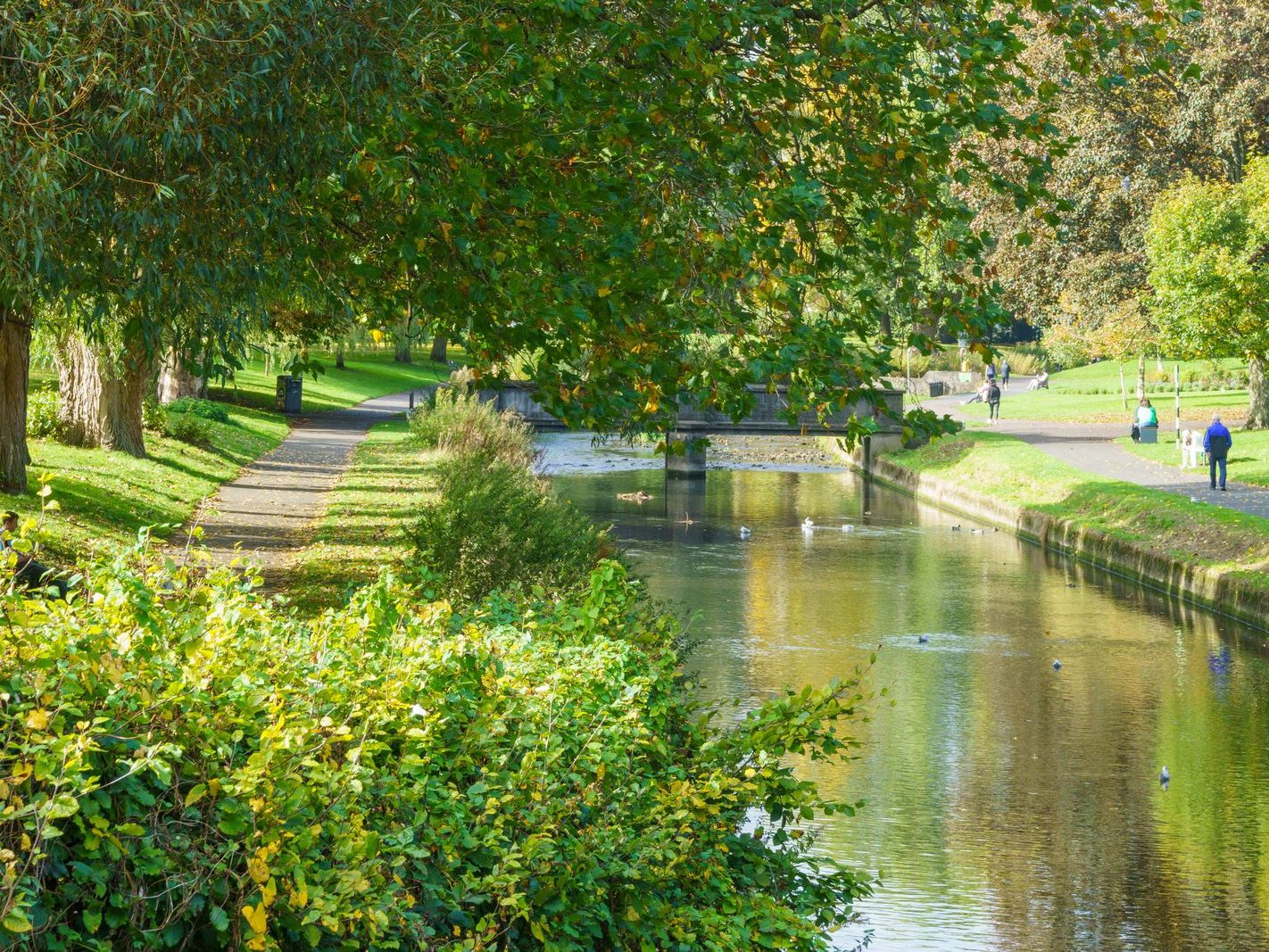 A SECTION OF THE TOLKA RIVER [GRIFFITH LINEAR PARK]-242326-1