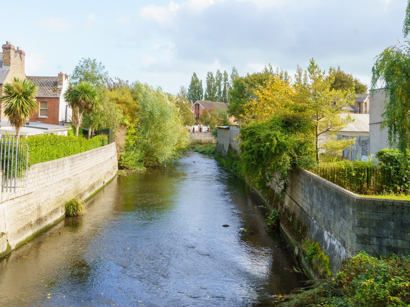 A SECTION OF THE TOLKA RIVER [GRIFFITH LINEAR PARK]-242329-1