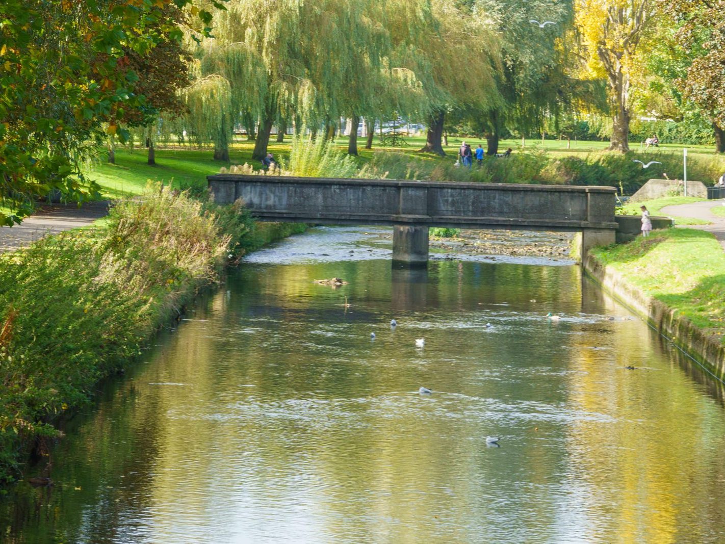 A SECTION OF THE TOLKA RIVER [GRIFFITH LINEAR PARK]-242331-1