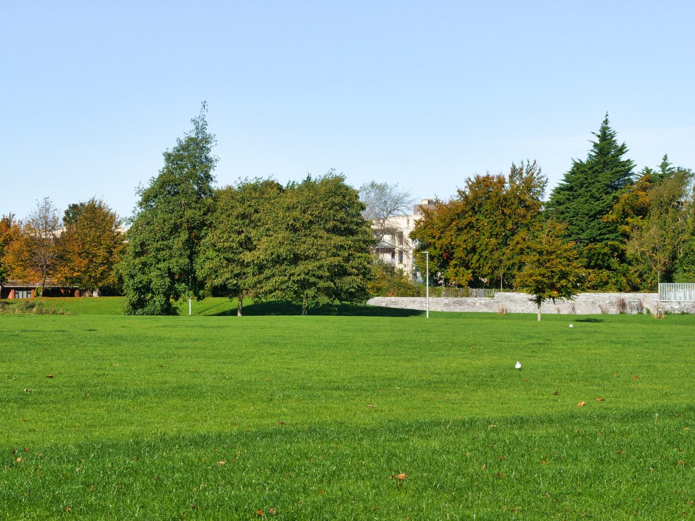 ASHINGTON PARK AND NEARBY [CABRA DUBLIN]-242461-1