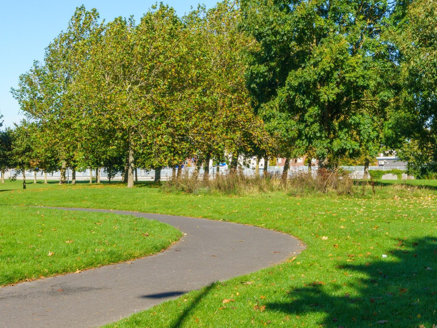 ASHINGTON PARK AND NEARBY [CABRA DUBLIN]-242496-1