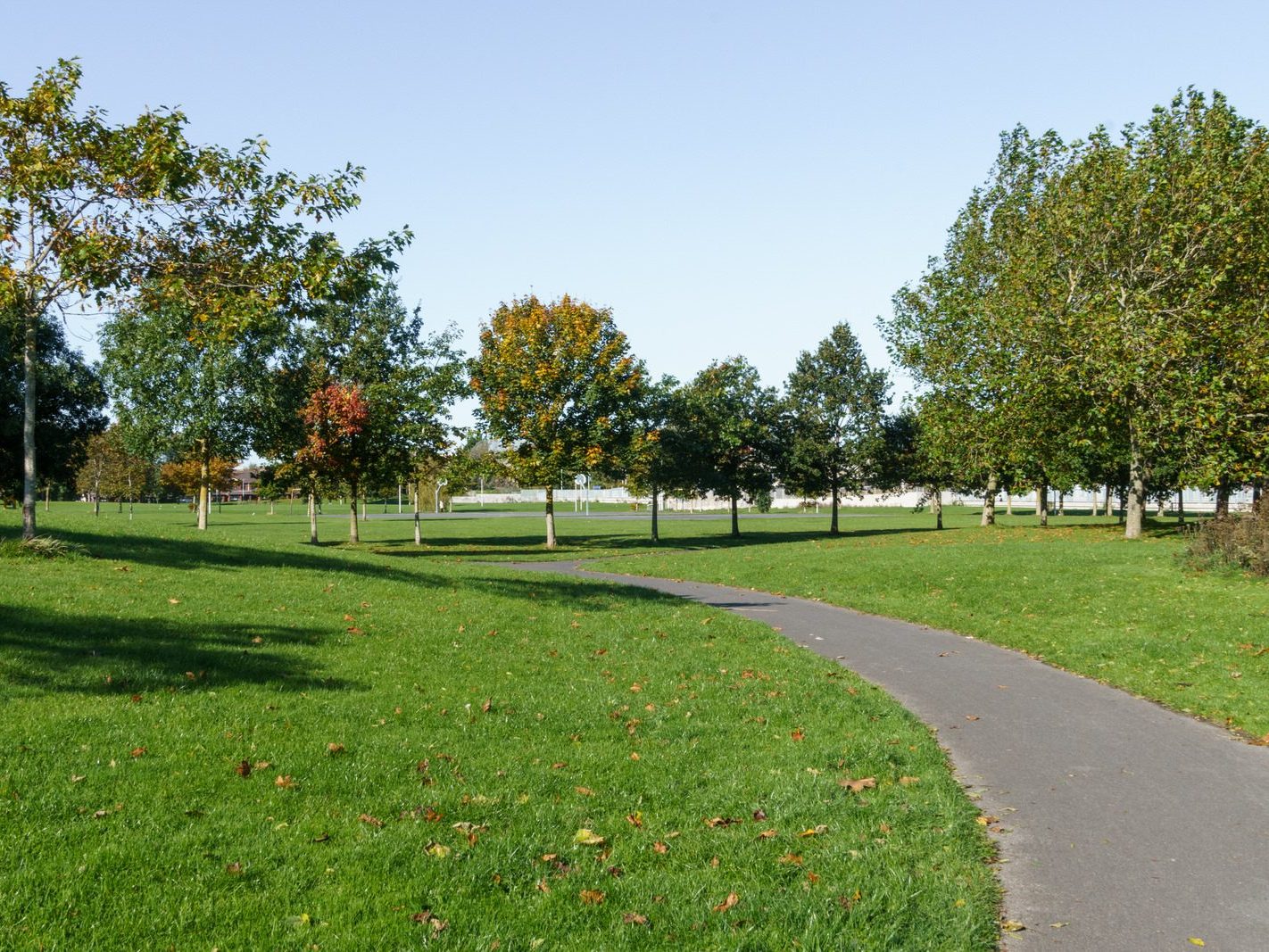 ASHINGTON PARK AND NEARBY [CABRA DUBLIN]-242499-1