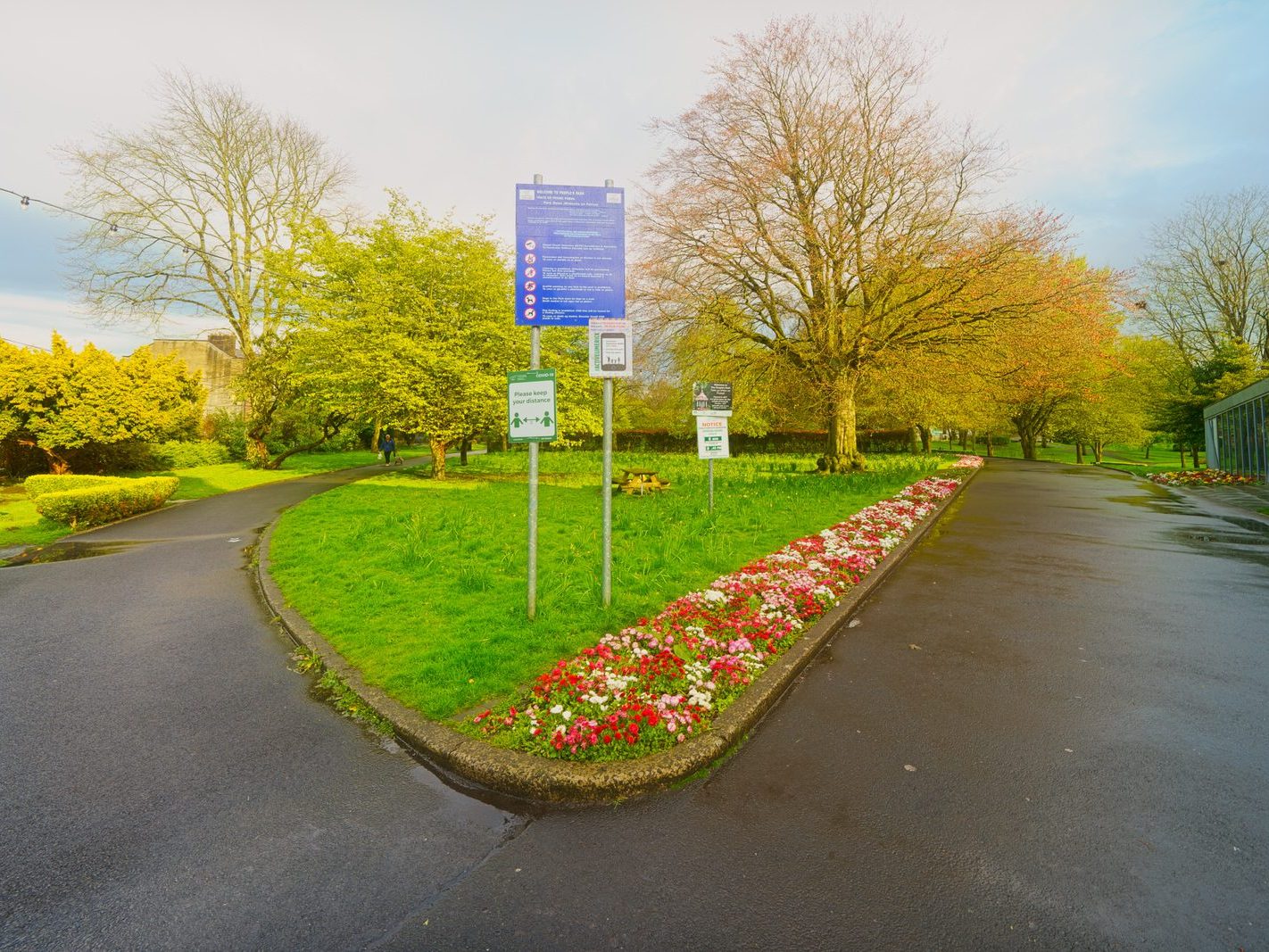 THE PEOPLE'S PARK IN LIMERICK [LOST ITS BEEBEE TREE IN 2013]-244594-1