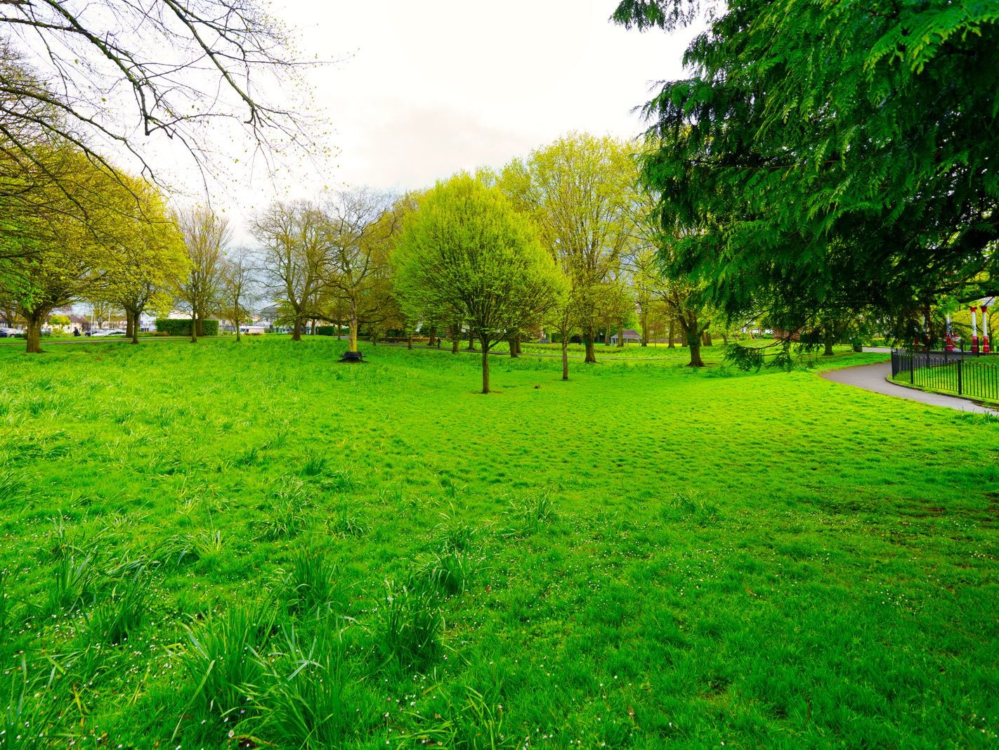 THE PEOPLE'S PARK IN LIMERICK [LOST ITS BEEBEE TREE IN 2013]-244600-1