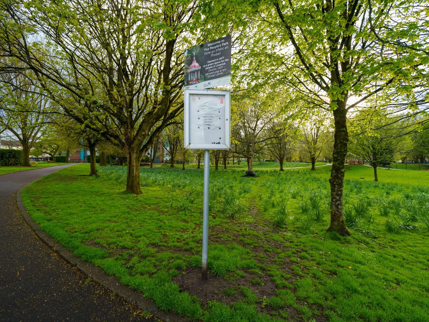 THE PEOPLE'S PARK IN LIMERICK [LOST ITS BEEBEE TREE IN 2013]-244602-1