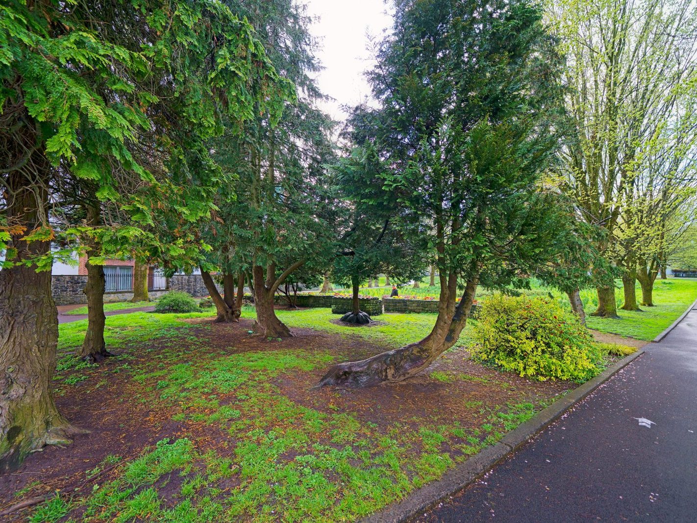 THE PEOPLE'S PARK IN LIMERICK [LOST ITS BEEBEE TREE IN 2013]-244607-1