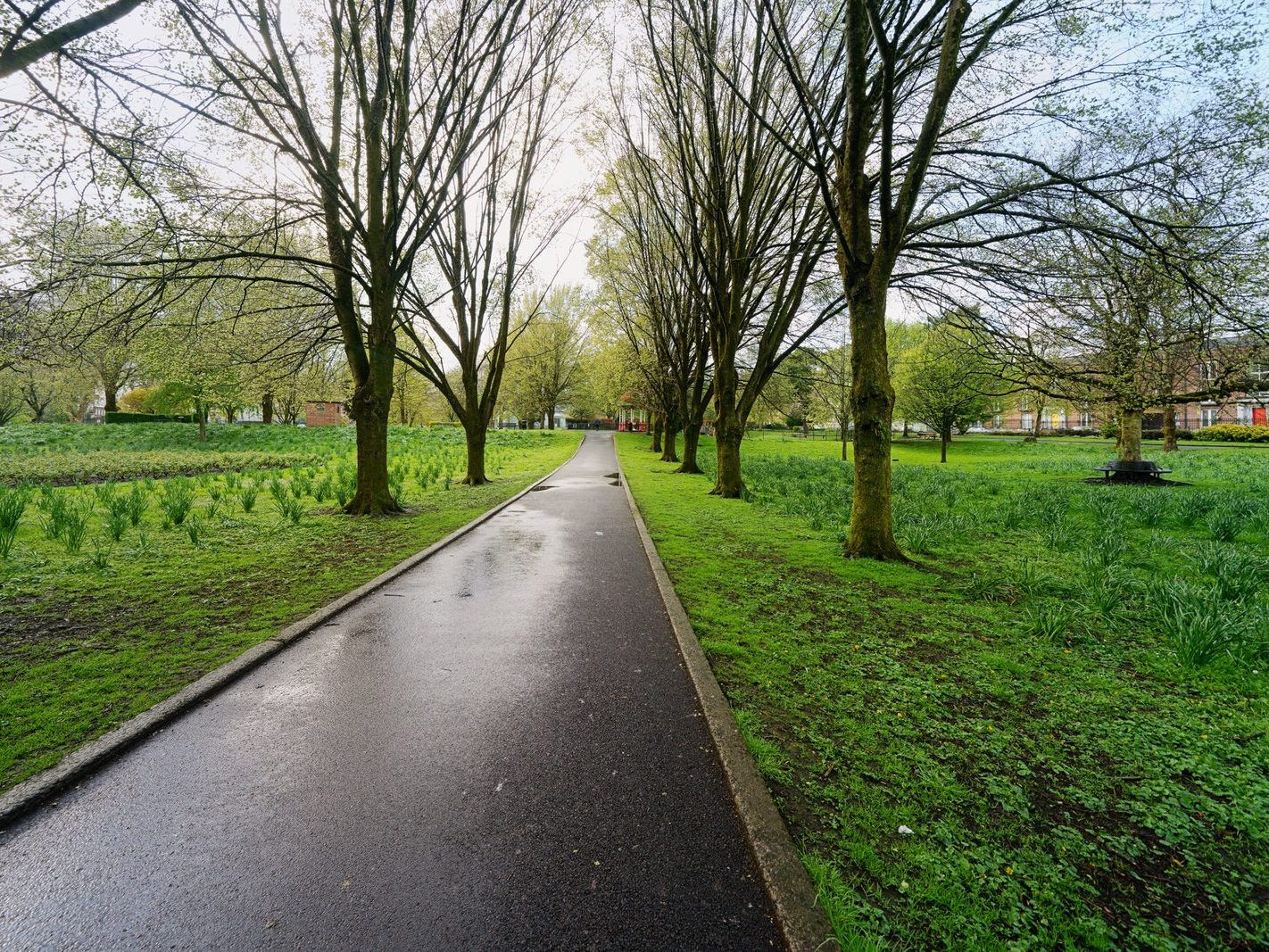 THE PEOPLE'S PARK IN LIMERICK [LOST ITS BEEBEE TREE IN 2013]-244608-1