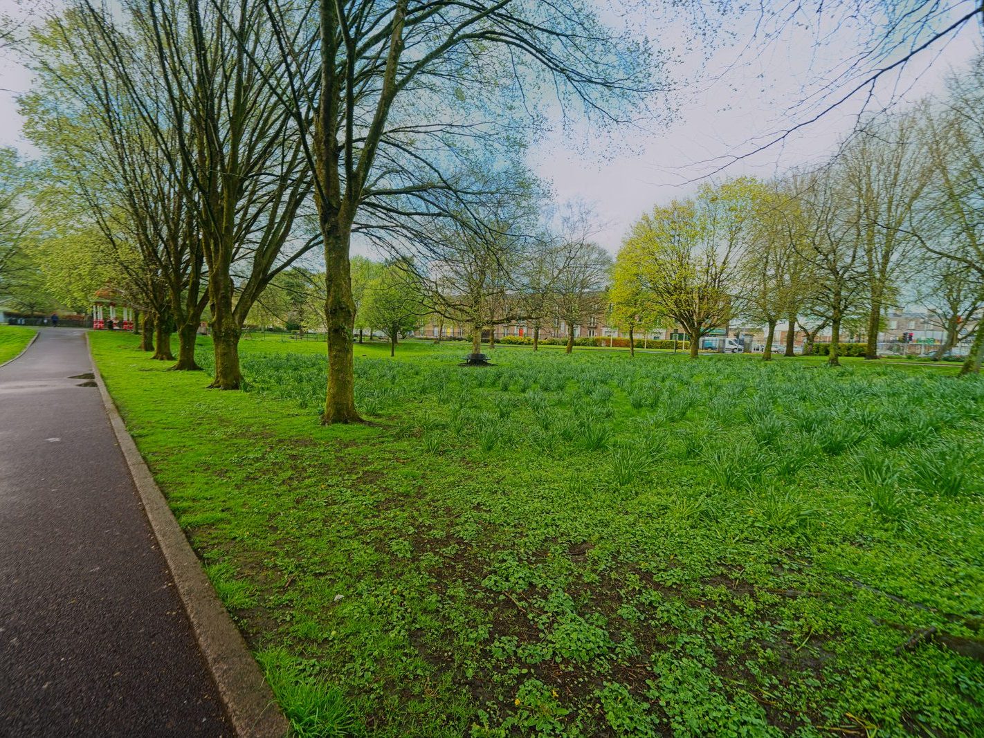 THE PEOPLE'S PARK IN LIMERICK [LOST ITS BEEBEE TREE IN 2013]-244609-1