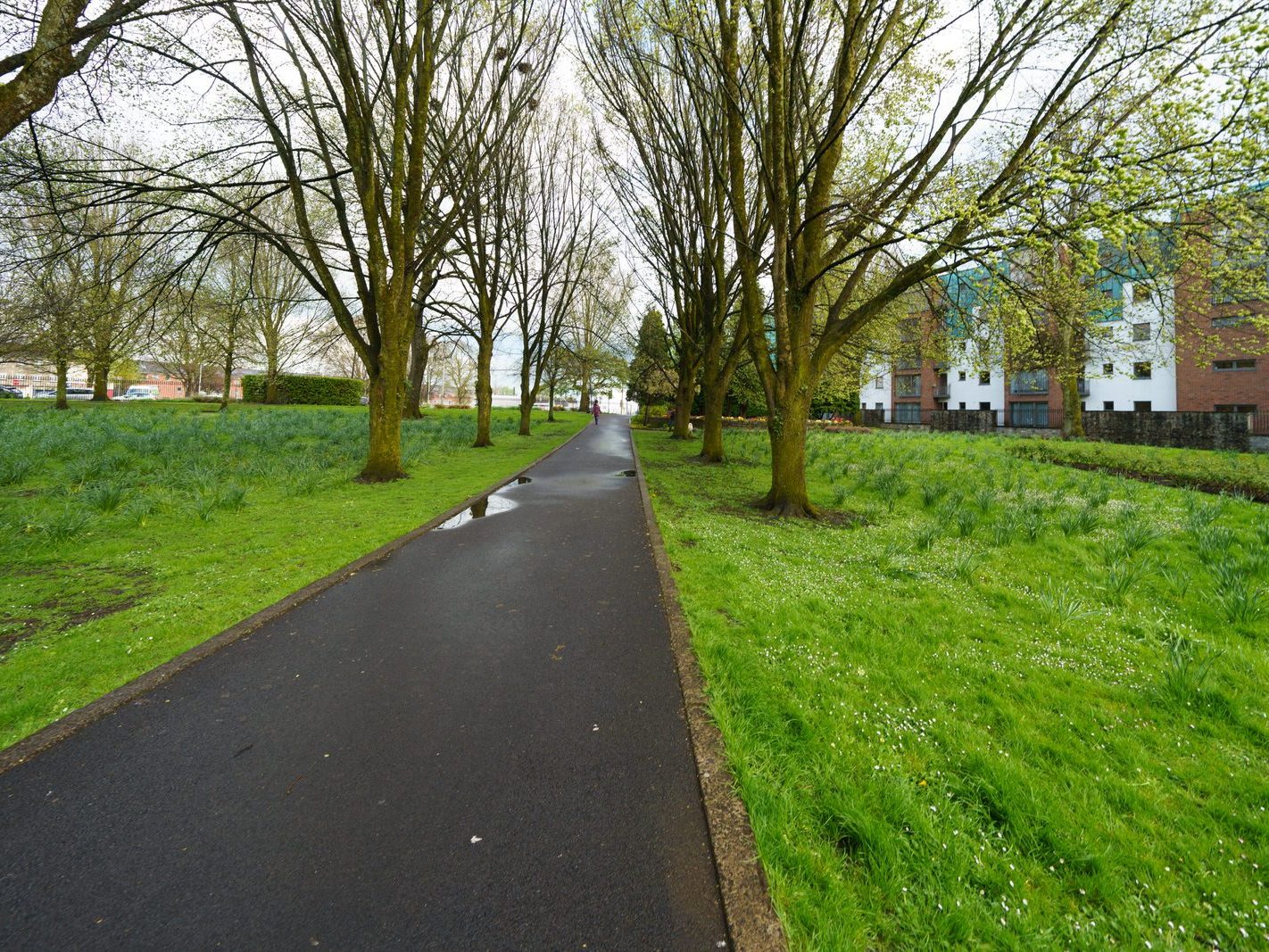 THE PEOPLE'S PARK IN LIMERICK [LOST ITS BEEBEE TREE IN 2013]-244610-1