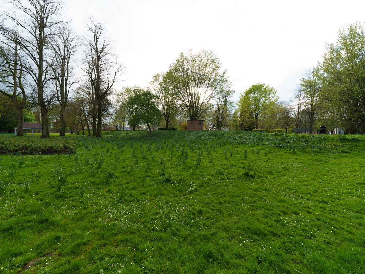 THE PEOPLE'S PARK IN LIMERICK [LOST ITS BEEBEE TREE IN 2013]-244611-1