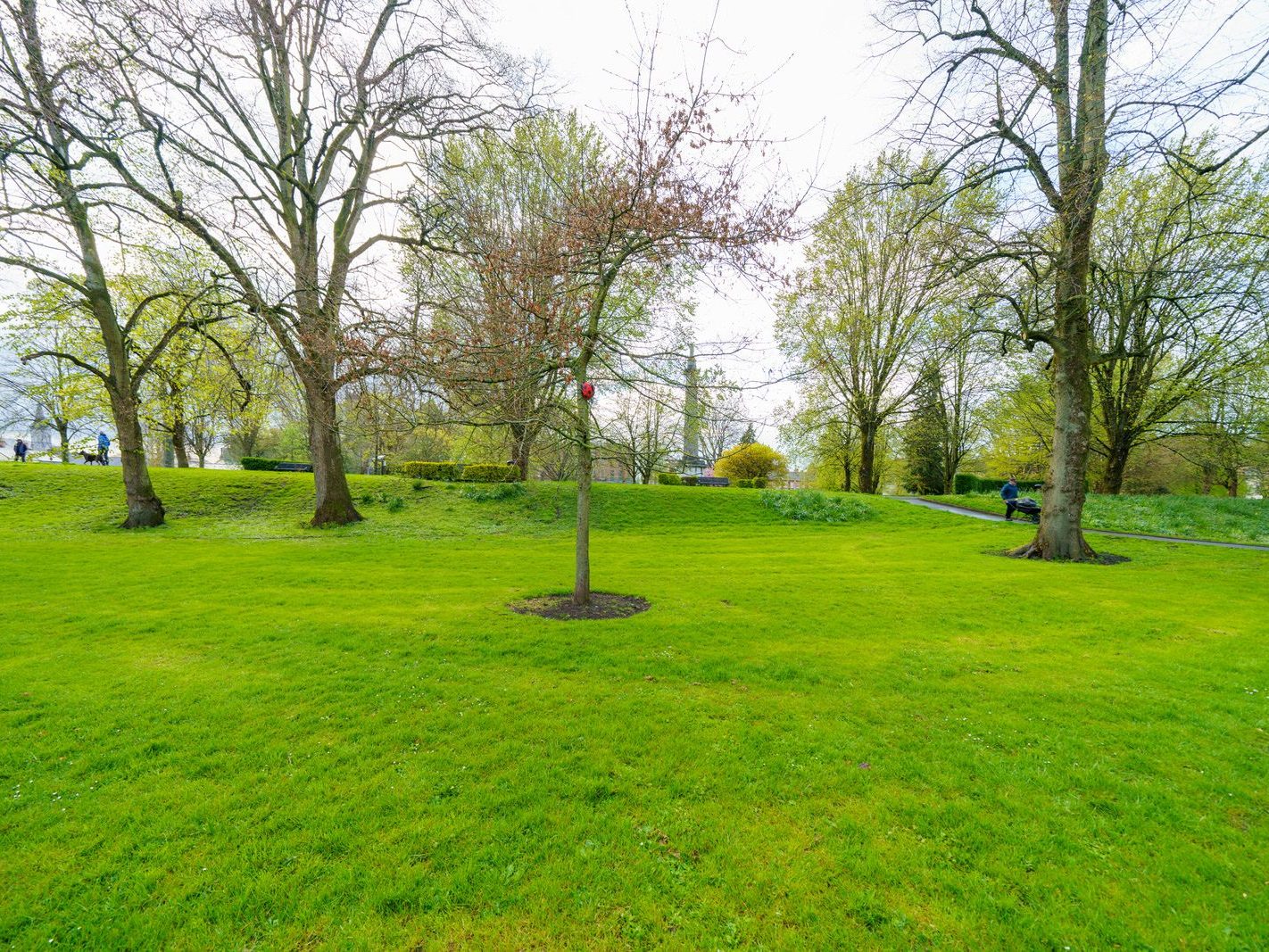 THE PEOPLE'S PARK IN LIMERICK [LOST ITS BEEBEE TREE IN 2013]-244614-1