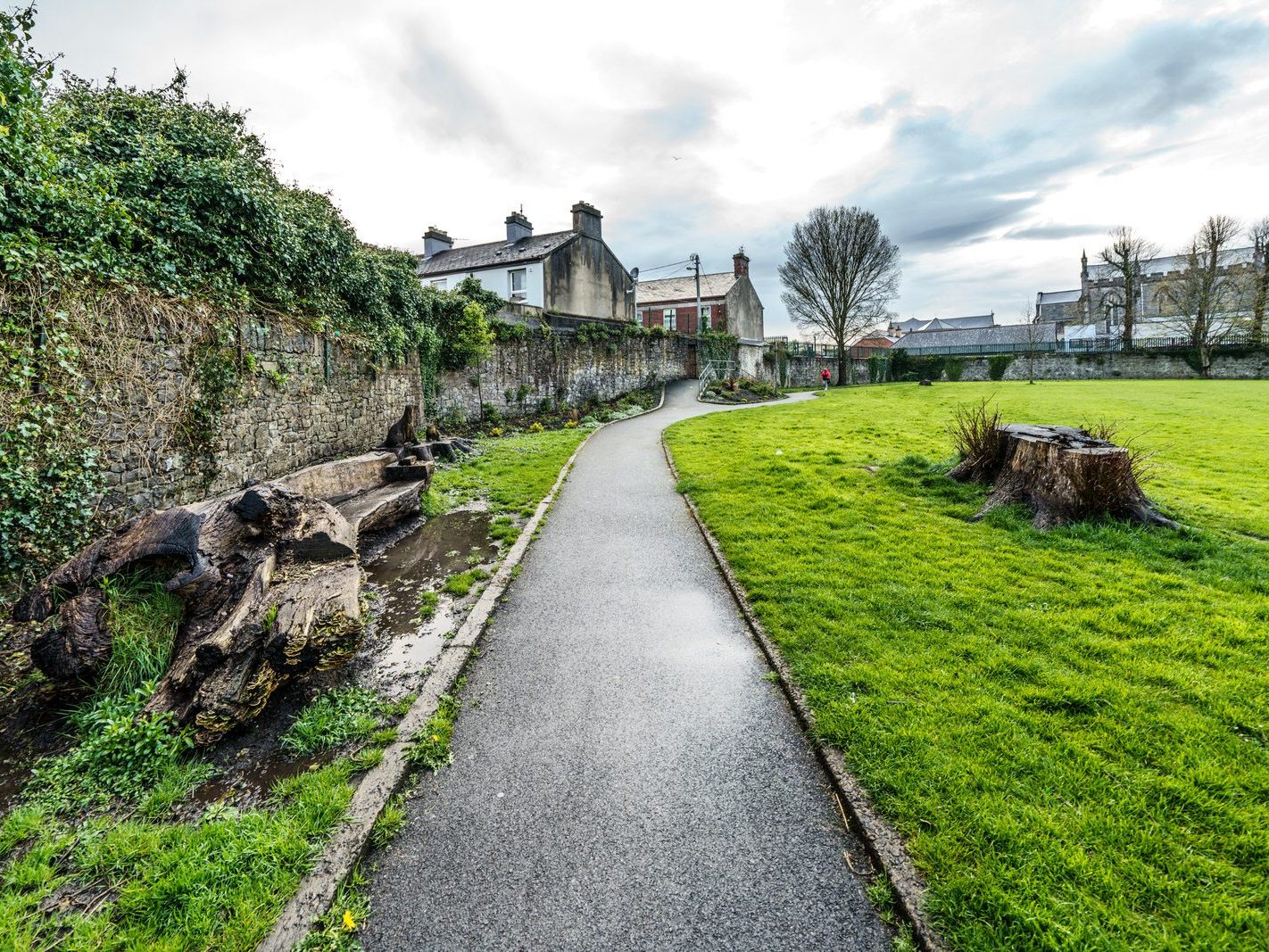 THE PEOPLE'S PARK IN LIMERICK [LOST ITS BEEBEE TREE IN 2013]-244621-1