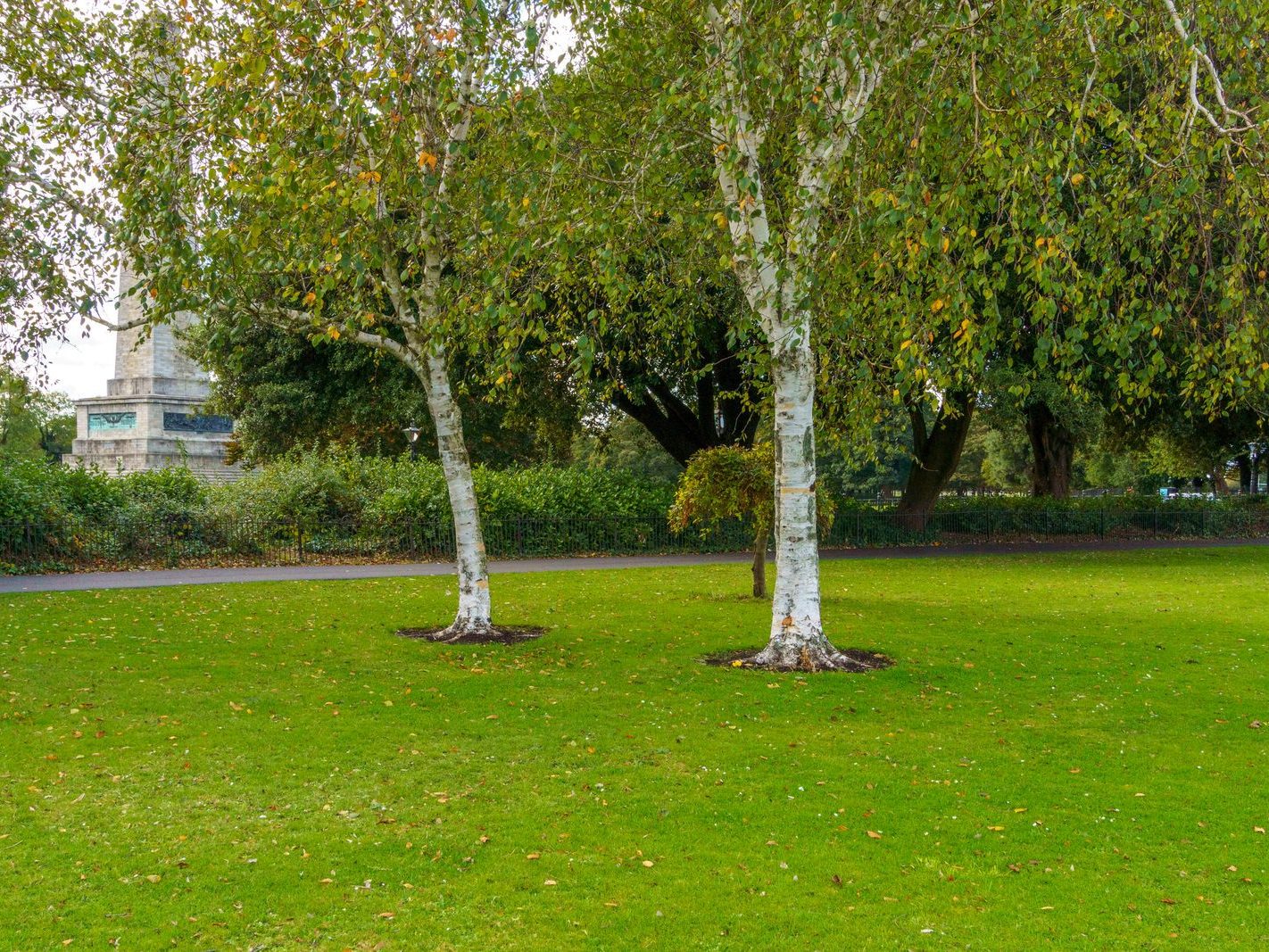 THE WELLINGTON OBELISK [PHOENIX PARK OCTOBER 2024]-243521-1