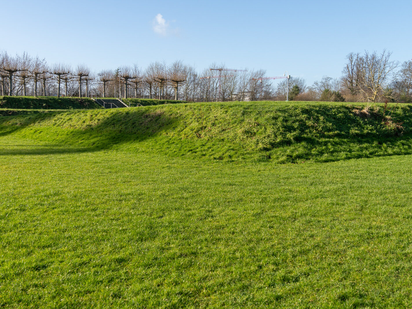 SANTRY DEMESNE PUBLIC PARK [THE PHOENIX FOLLY AND THE VIEWING AREA]-246934-1