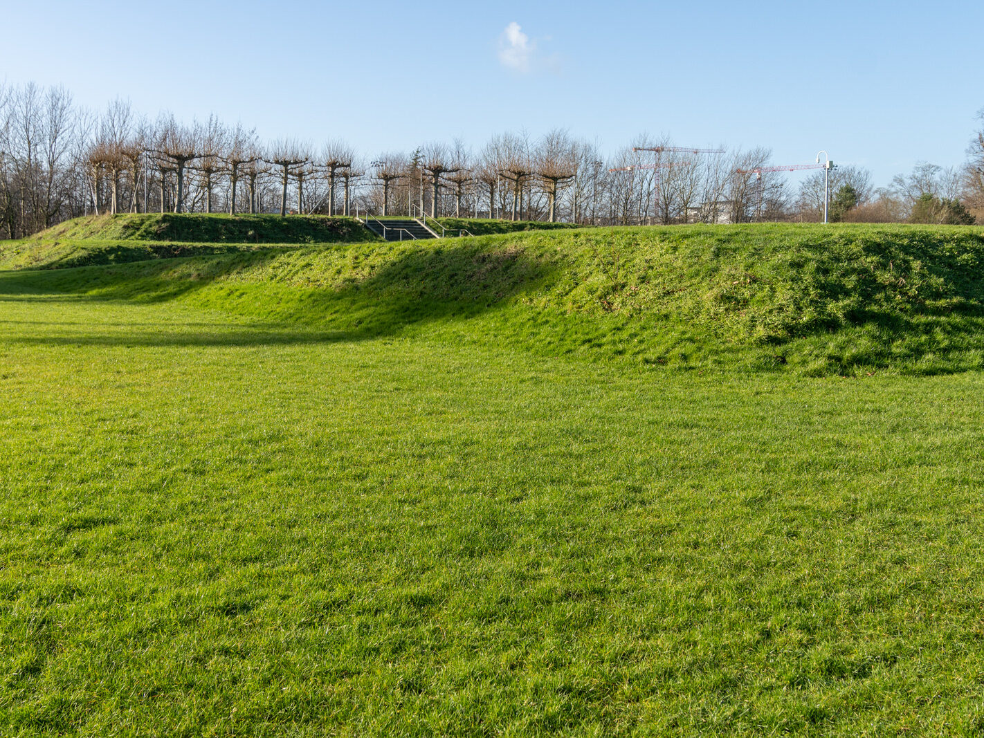 SANTRY DEMESNE PUBLIC PARK [THE PHOENIX FOLLY AND THE VIEWING AREA]-246935-1