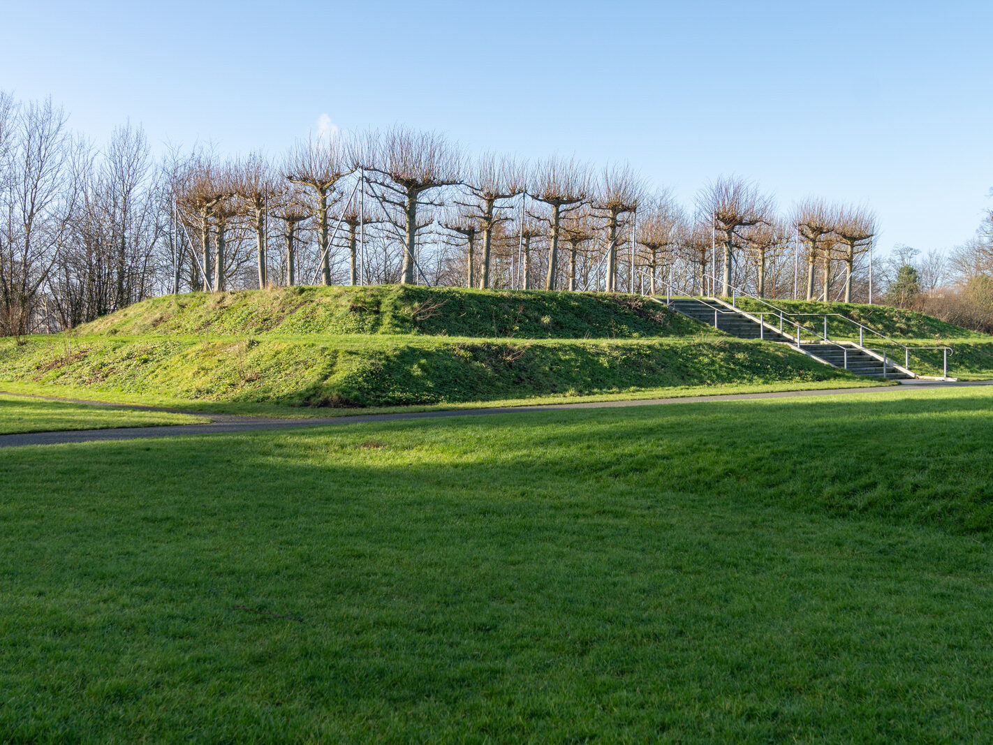 SANTRY DEMESNE PUBLIC PARK [THE PHOENIX FOLLY AND THE VIEWING AREA]-246936-1