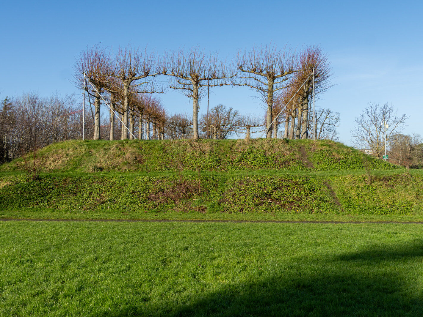 SANTRY DEMESNE PUBLIC PARK [THE PHOENIX FOLLY AND THE VIEWING AREA]-246937-1