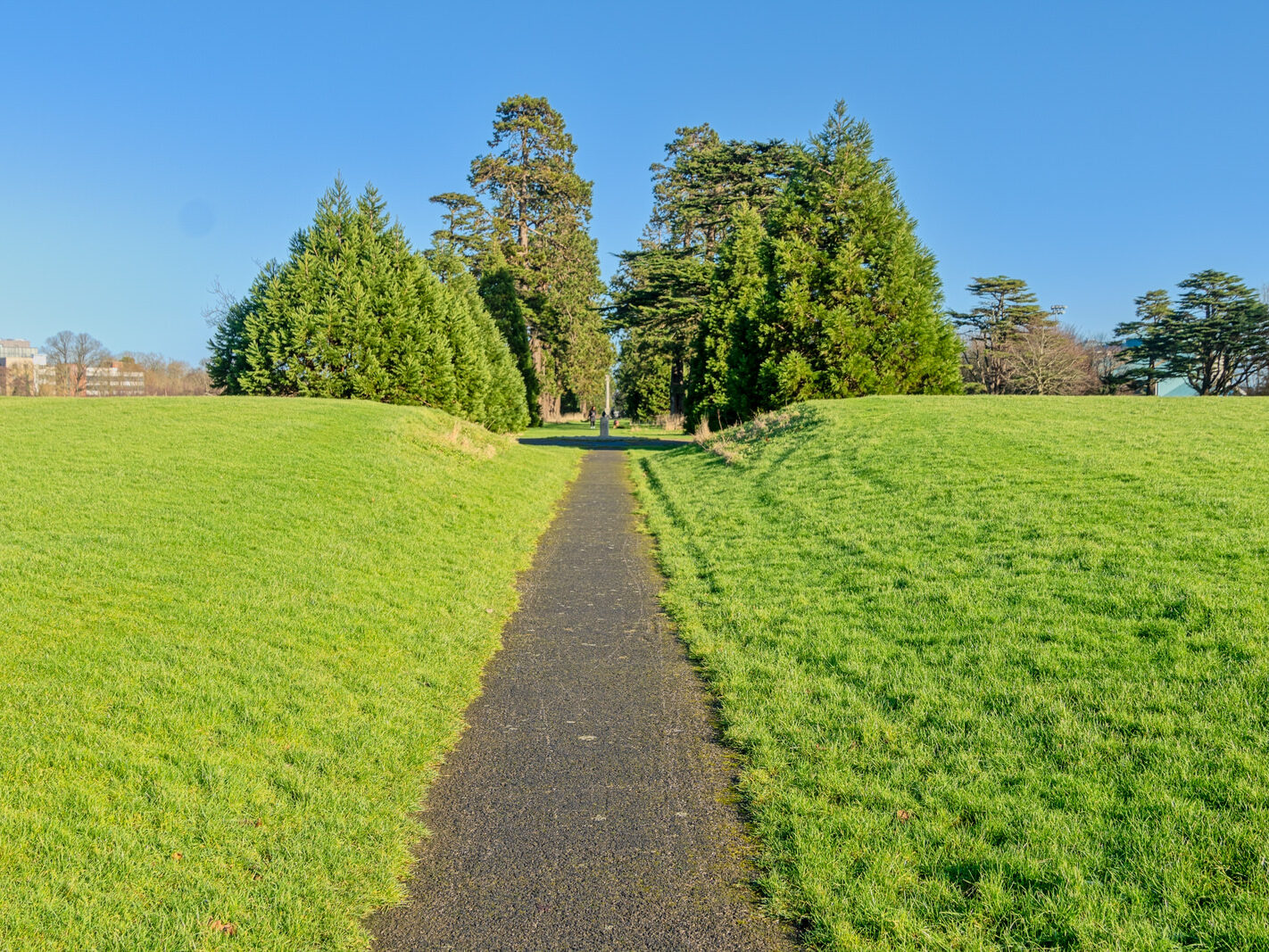 SANTRY DEMESNE PUBLIC PARK [THE PHOENIX FOLLY AND THE VIEWING AREA]-246938-1