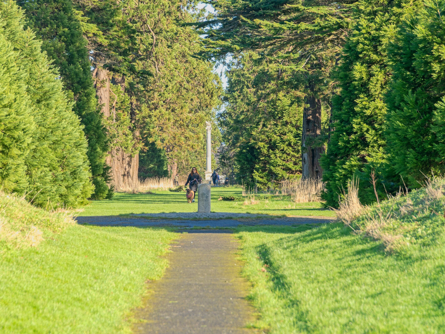 SANTRY DEMESNE PUBLIC PARK [THE PHOENIX FOLLY AND THE VIEWING AREA]-246939-1