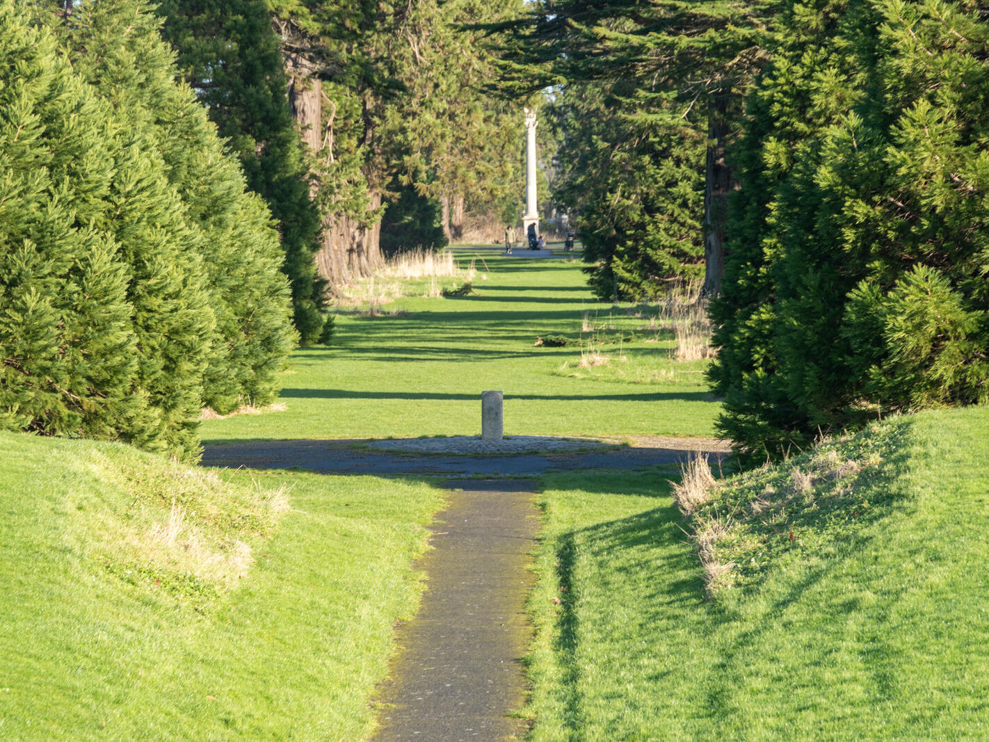 SANTRY DEMESNE PUBLIC PARK [THE PHOENIX FOLLY AND THE VIEWING AREA]-246940-1